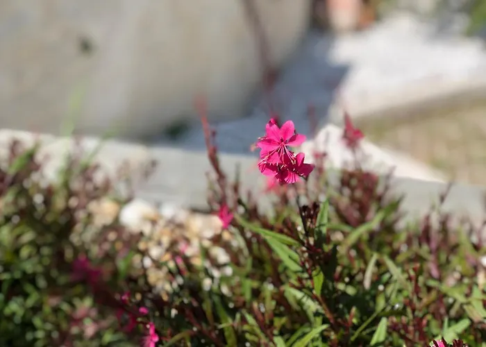Elia & Meli Сasa de vacaciones *
