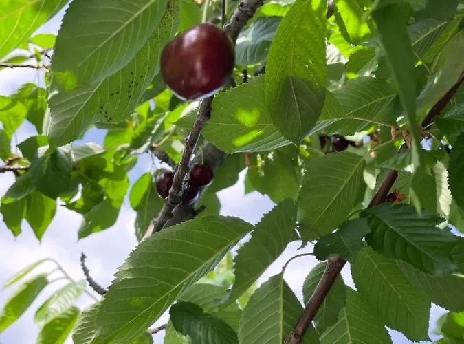 Сasa de vacaciones Elia & Meli Kallirákhi